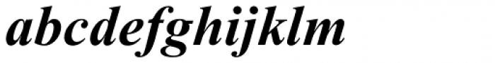 Times New Roman Std PS Bold Italic Font LOWERCASE
