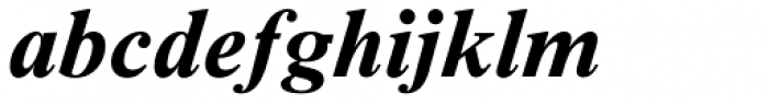 Times New Roman Std Seven Bold Italic Font LOWERCASE