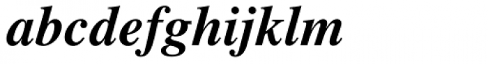 Times Pro Bold Italic Font LOWERCASE