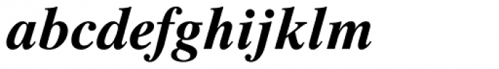 Times Ten Bold Italic Font LOWERCASE