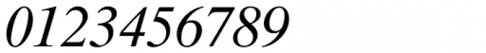 Times Ten Cyrillic Italic Font OTHER CHARS