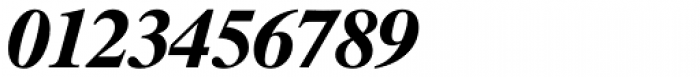 Times Ten Greek Bold Italic Font OTHER CHARS