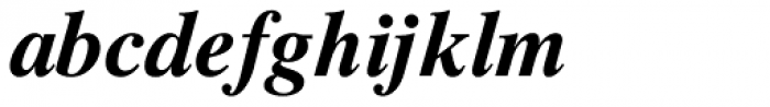 Times Ten Greek Bold Italic Font LOWERCASE