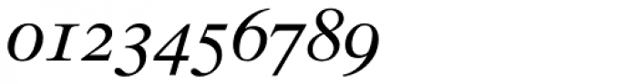 Times Ten Italic Oldstyle Figures Font OTHER CHARS