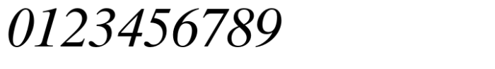 Times Ten Paneuropean Italic Font OTHER CHARS