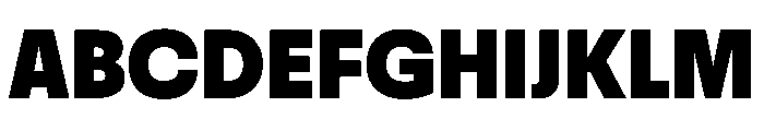 TightleSubhead Bold Font UPPERCASE