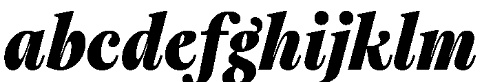 TimezItalic CasualBoldItalic Instance FONT