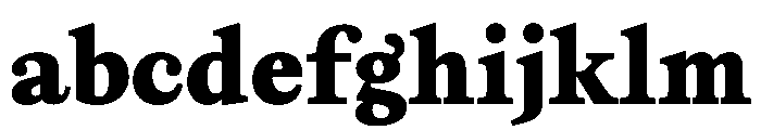 TimezUpright ReadableBold Instance FONT