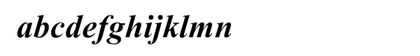Times New Roman PS Pro Cyrillic Bold Italic Sample