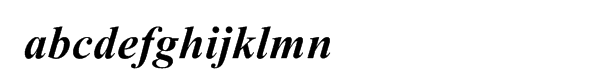 Times New RomanÂ® WGL Bold Italic Sample