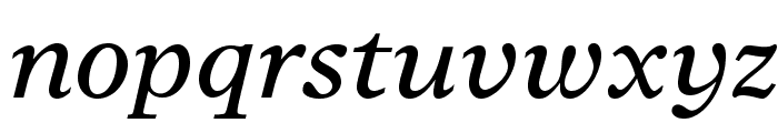 TimesEuropaLTStd-Italic Font LOWERCASE