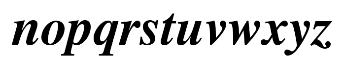 TimesLTStd-BoldItalic Font LOWERCASE
