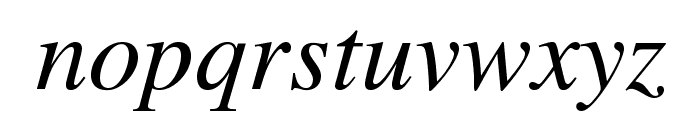 TimesLTStd-Italic Font LOWERCASE