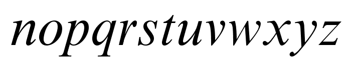 TimesNewRomanMTStd-Italic Font LOWERCASE