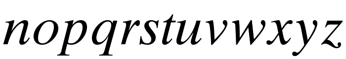 TimesTenLTStd-Italic Font LOWERCASE