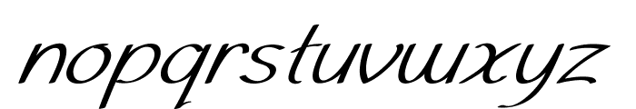 Tinsel-Italic Font LOWERCASE