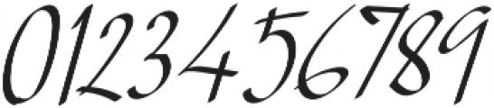 TK Normal B Italic otf (400) Font OTHER CHARS