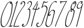 TK Small Plain Italic otf (400) Font OTHER CHARS