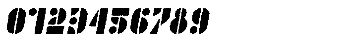 TK Enso Rough Italic Font OTHER CHARS