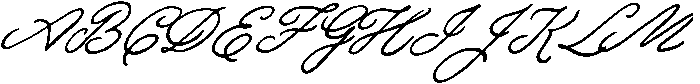 TM Script Bold Slanted ttf (700) Font UPPERCASE