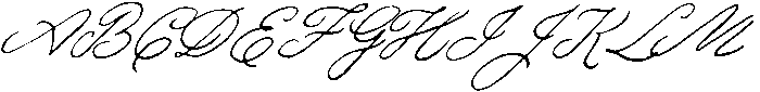 TM Script Slant ttf (400) Font UPPERCASE