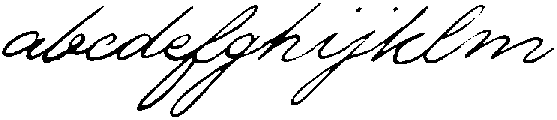TM Script Slant ttf (400) FONT