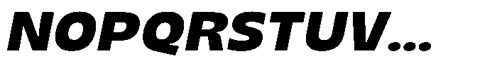 TNSC Migno Sans Migno Sans Bold Italic Font UPPERCASE