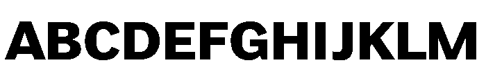 TN Web Use Only 3 Font UPPERCASE