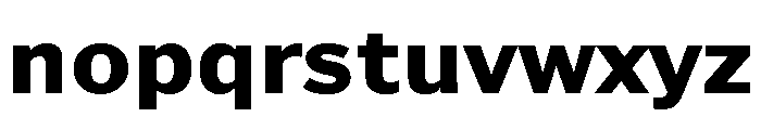 TN Web Use Only 3 Font LOWERCASE