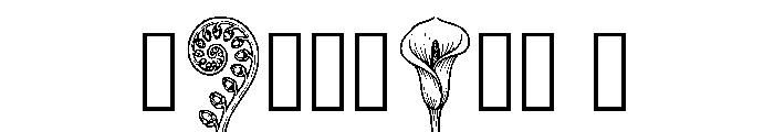 Toucan Regular Font OTHER CHARS