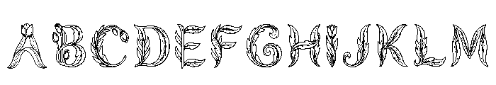 Toucan Regular Font UPPERCASE
