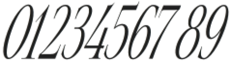 Top Italic otf (400) Font OTHER CHARS
