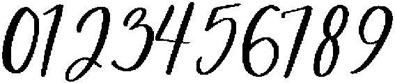 Total Malarkey Script Regular otf (400) Font OTHER CHARS