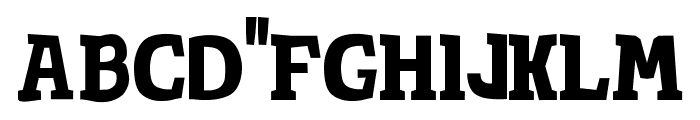 TotShrift-Bold Bold Font LOWERCASE