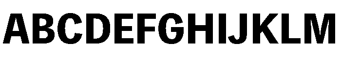Toppan Bunkyu Midashi Gothic Extrabold Font UPPERCASE
