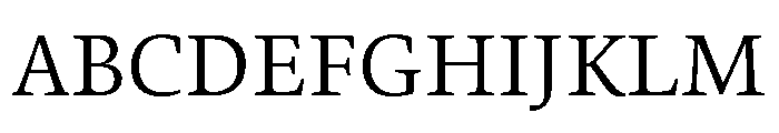 Toppan Bunkyu Mincho Regular Font UPPERCASE