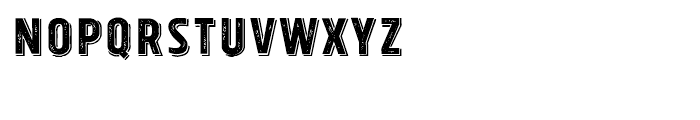 Tolyer X Vintage No2 Font LOWERCASE