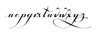 Tosca Regular Font LOWERCASE