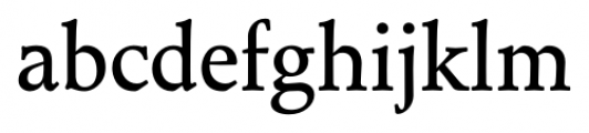 Toshna Book Medium Font LOWERCASE