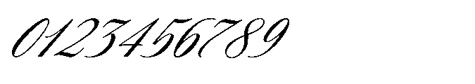 Todaya Scriptua Bold Font OTHER CHARS