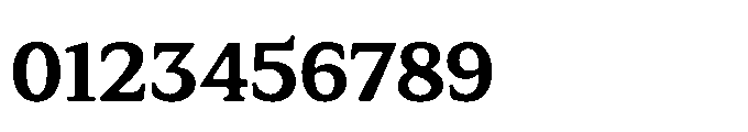 Tonkin Serif Bold Font OTHER CHARS