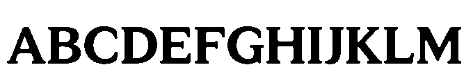 Tonkin Serif Bold Font UPPERCASE