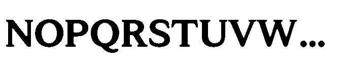 Tonkin Serif Bold Font UPPERCASE