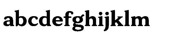 Tonkin Serif Bold FONT
