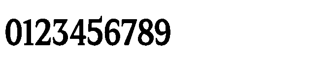 Tonkin Serif Condensed Bold Font OTHER CHARS