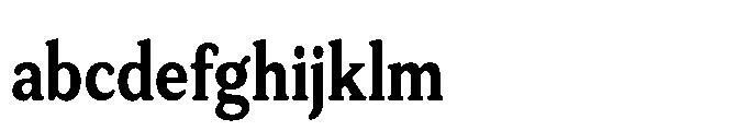 Tonkin Serif Condensed Bold FONT