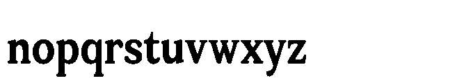 Tonkin Serif Condensed Bold Font LOWERCASE