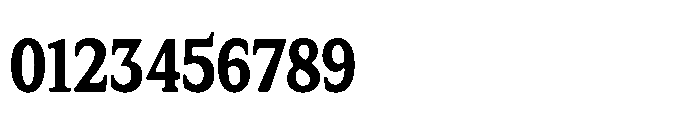Tonkin Serif Condensed Extra Bold Font OTHER CHARS
