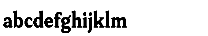 Tonkin Serif Condensed Extra Bold FONT