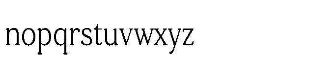 Tonkin Serif Condensed Light Font LOWERCASE